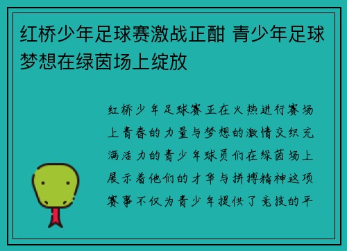 红桥少年足球赛激战正酣 青少年足球梦想在绿茵场上绽放