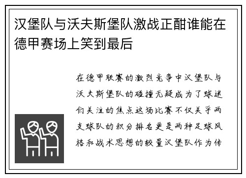 汉堡队与沃夫斯堡队激战正酣谁能在德甲赛场上笑到最后