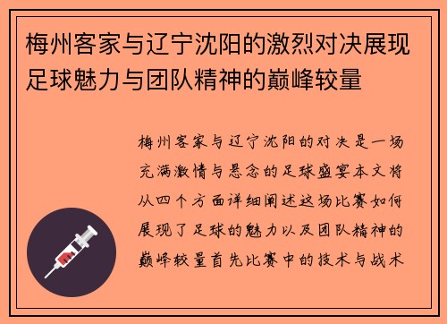 梅州客家与辽宁沈阳的激烈对决展现足球魅力与团队精神的巅峰较量